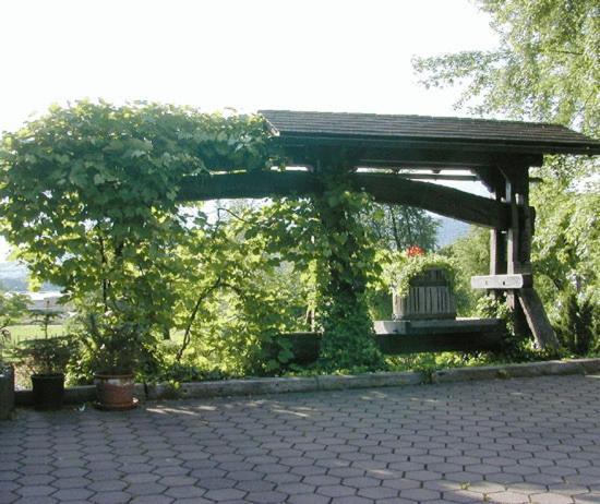 Hotel Landhaus Nendeln Facilities photo
